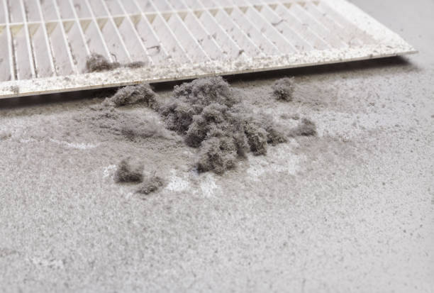 Best Professional Duct Cleaning Services  in Moosup, CT